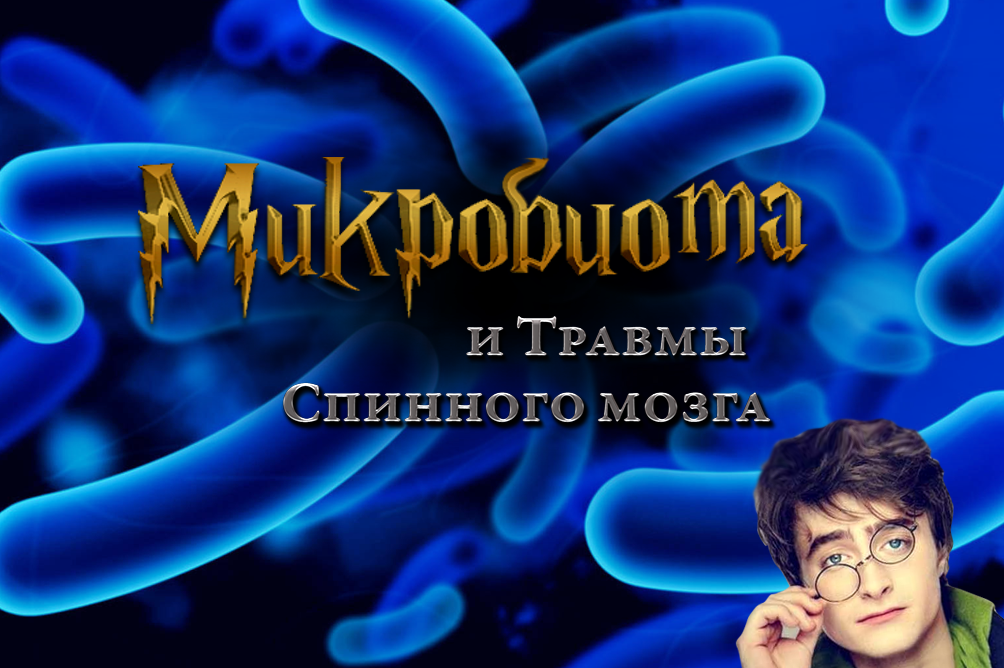 Микробиота и травма позвоночника.