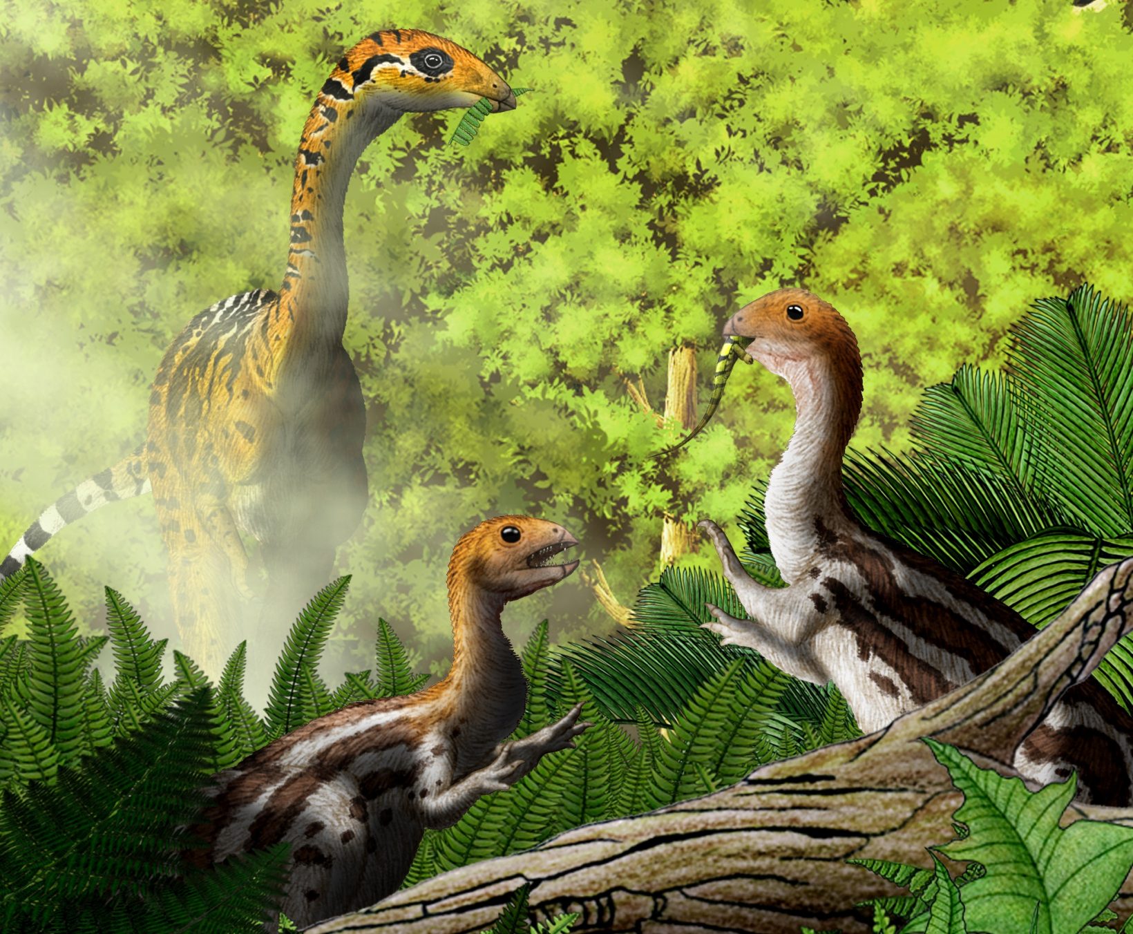 Limusaurus inextricabilis