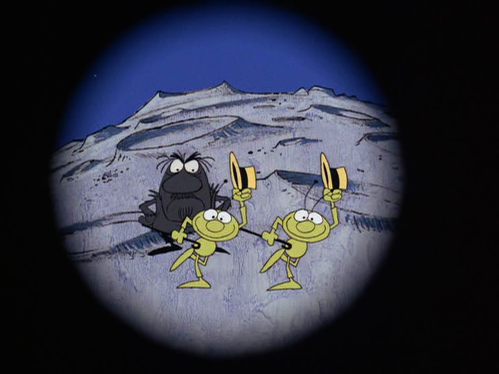 TESS rocky exoplanet in the habitable zone