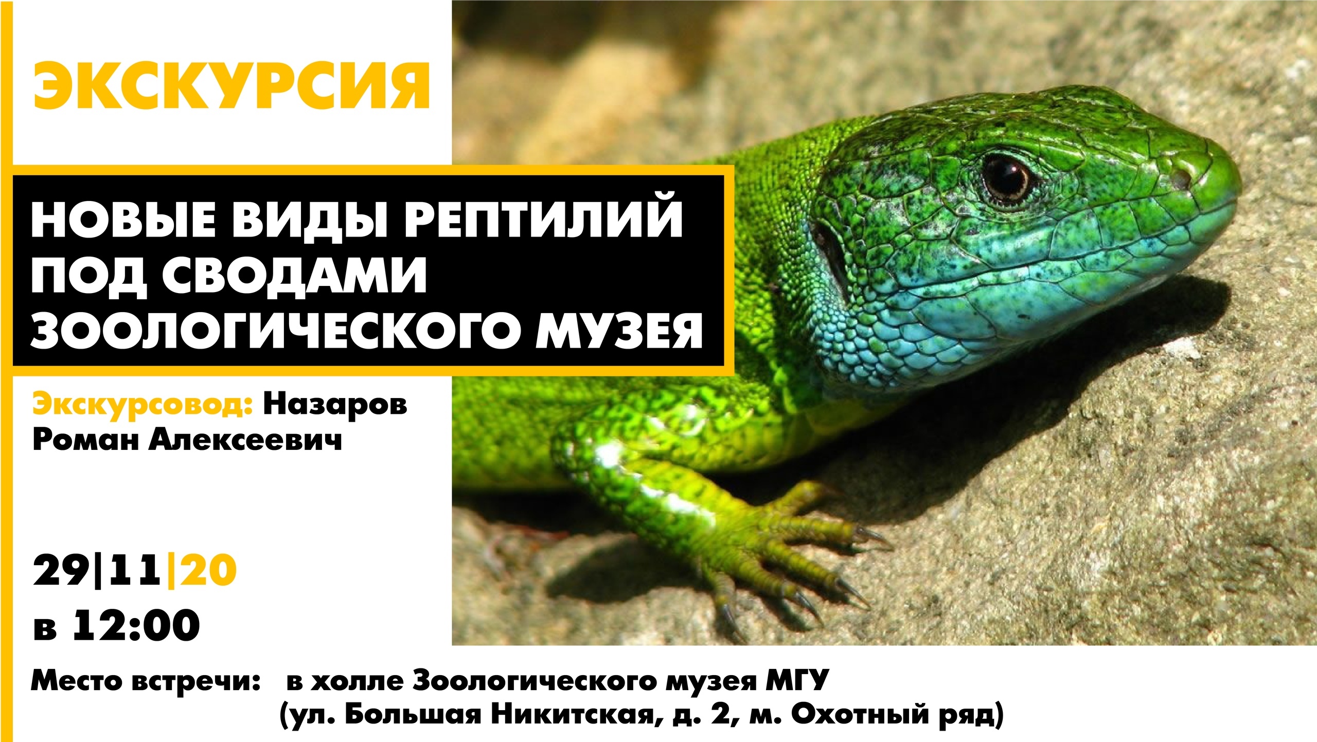 Экскурсия в музей