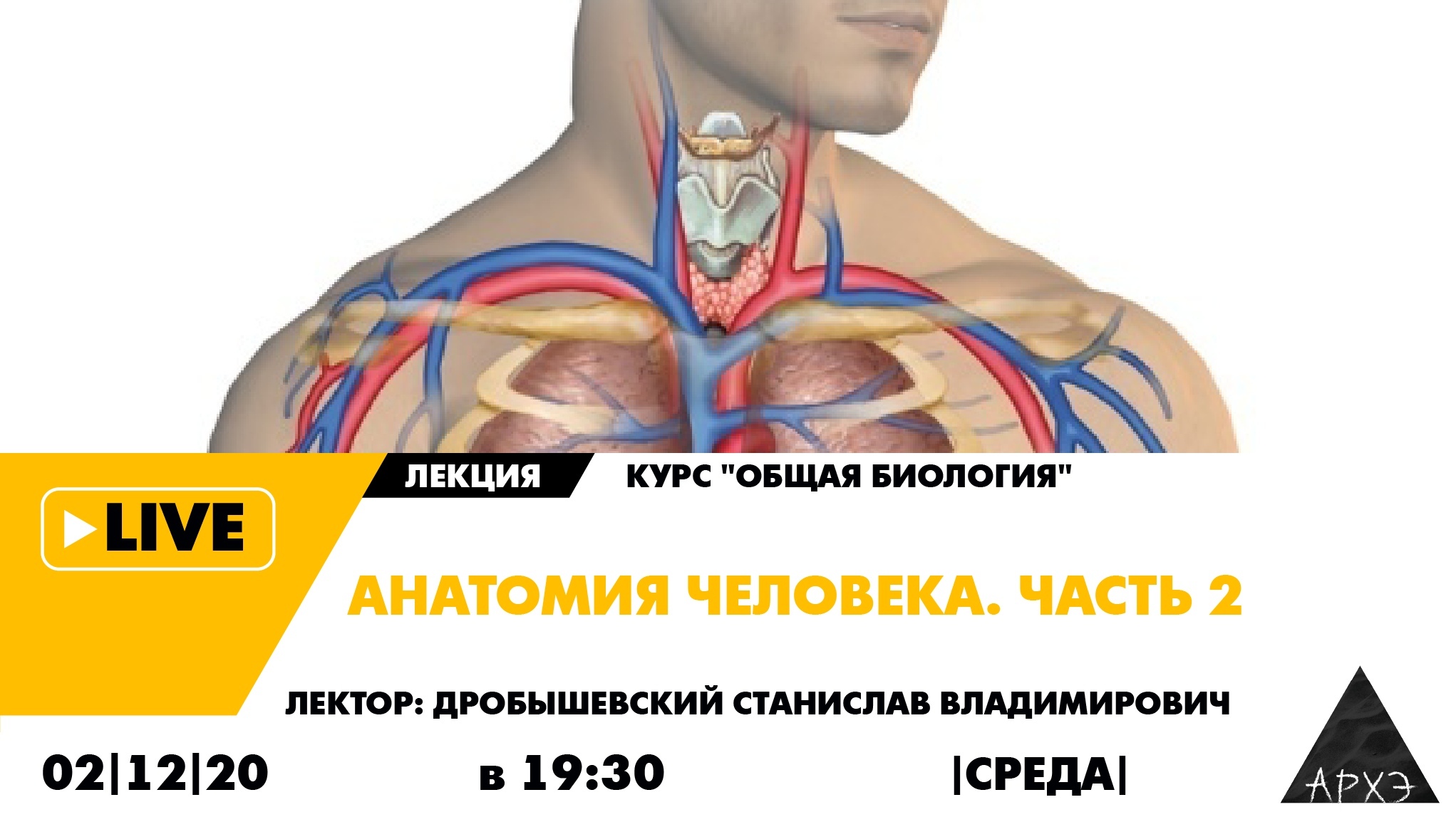 Анатомия человека — в среду
