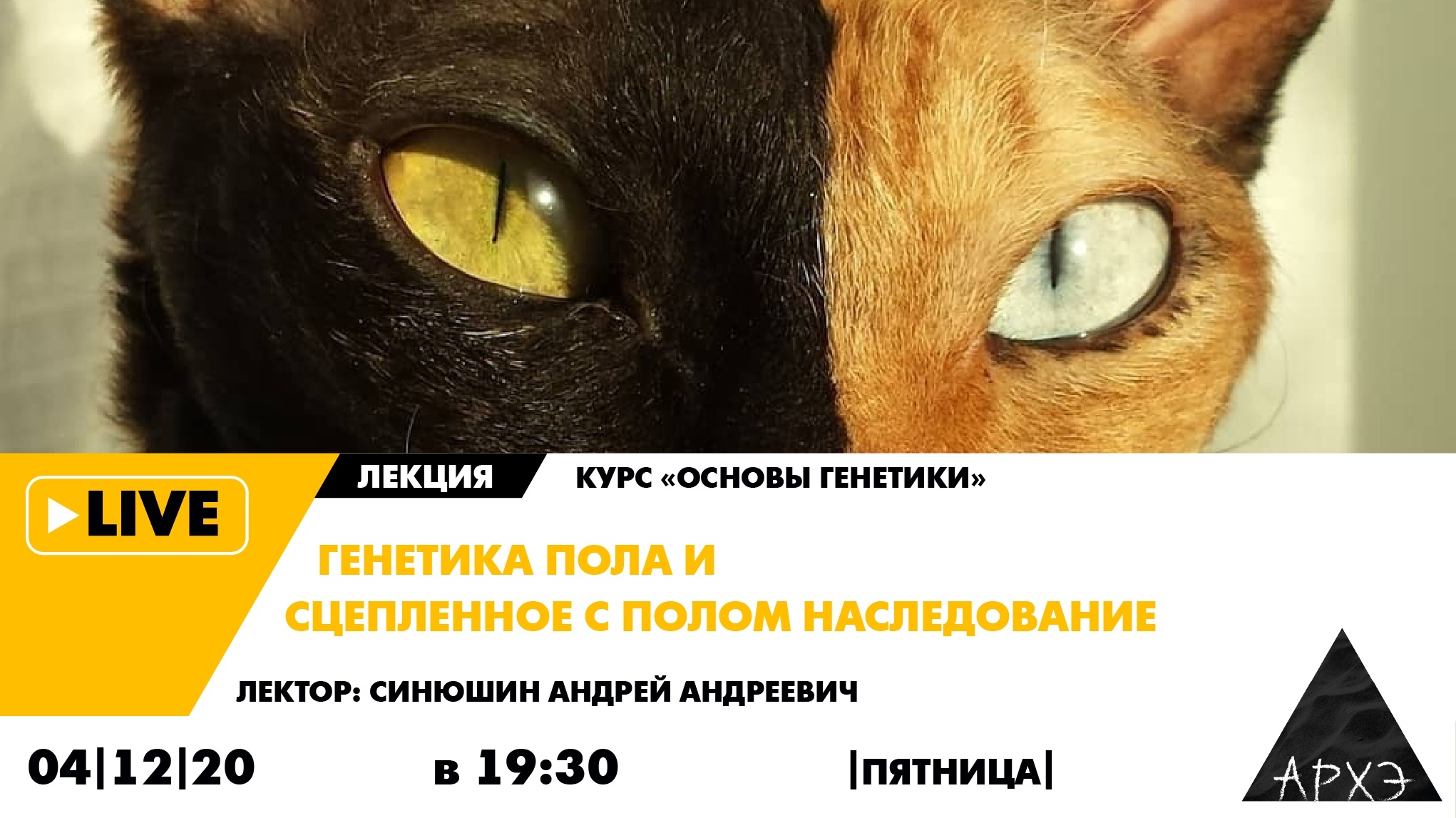 Генетика пола — в пятницу