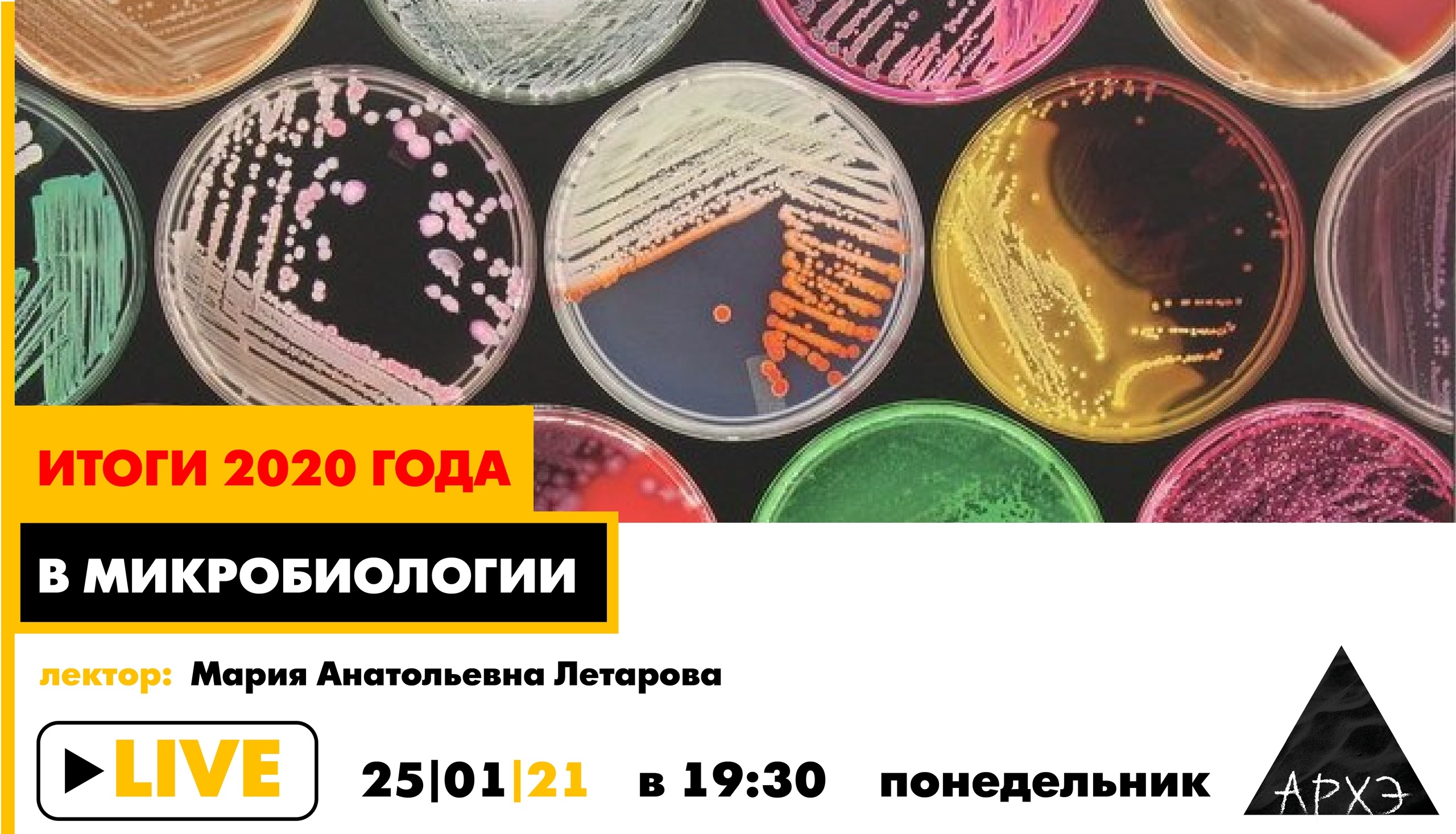 Лекторий культурно-просветительского центра «Архэ»