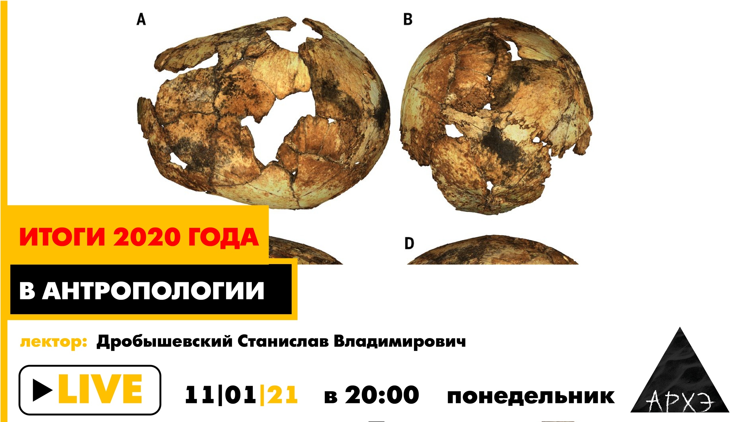Лекторий культурно-просветительского центра «Архэ»