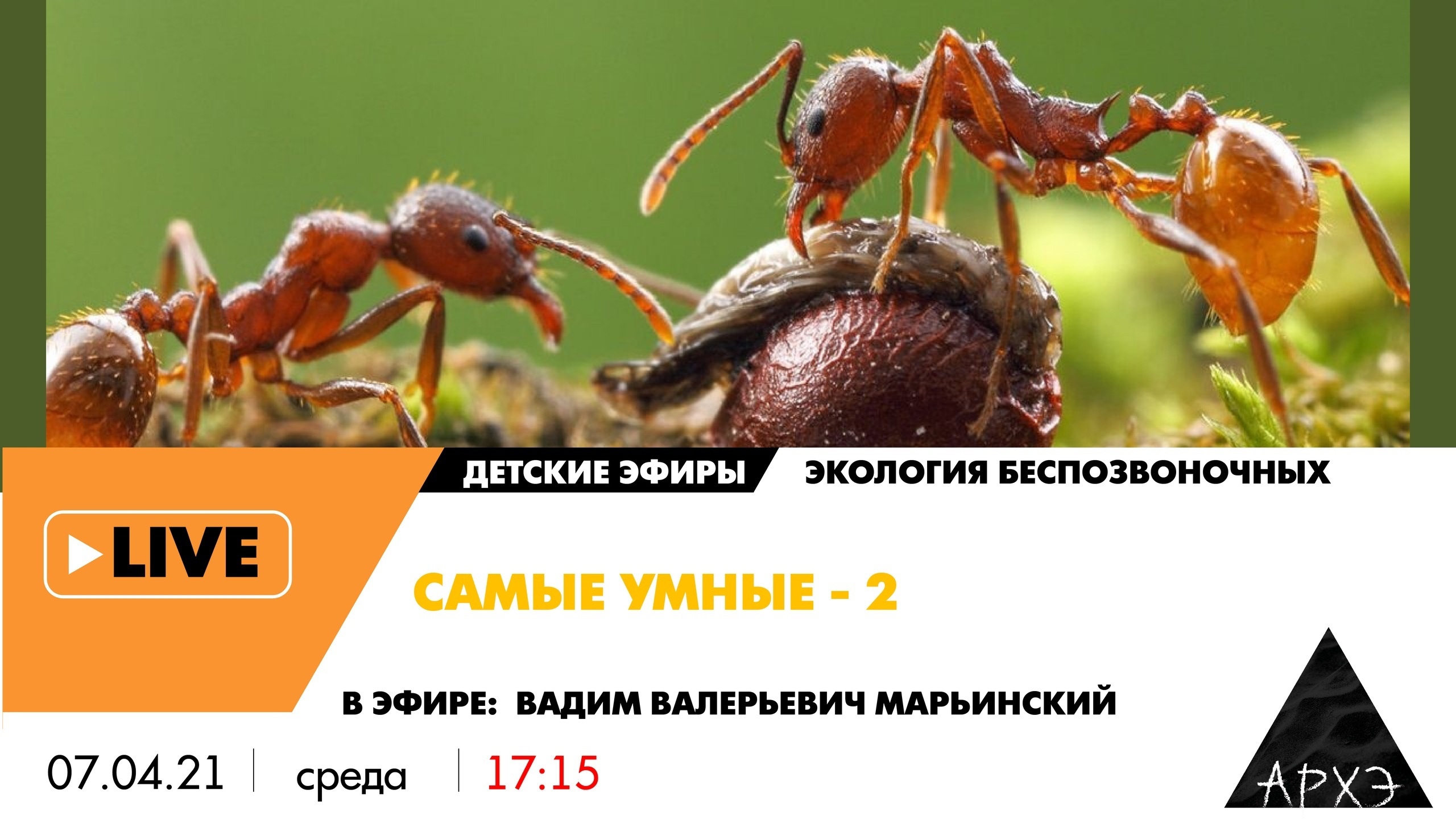 Лекторий культурно-просветительского центра «Архэ»