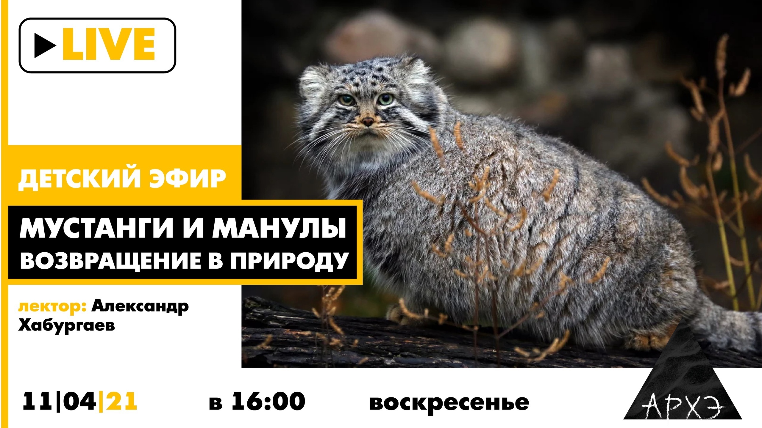 Лекторий культурно-просветительского центра «Архэ»