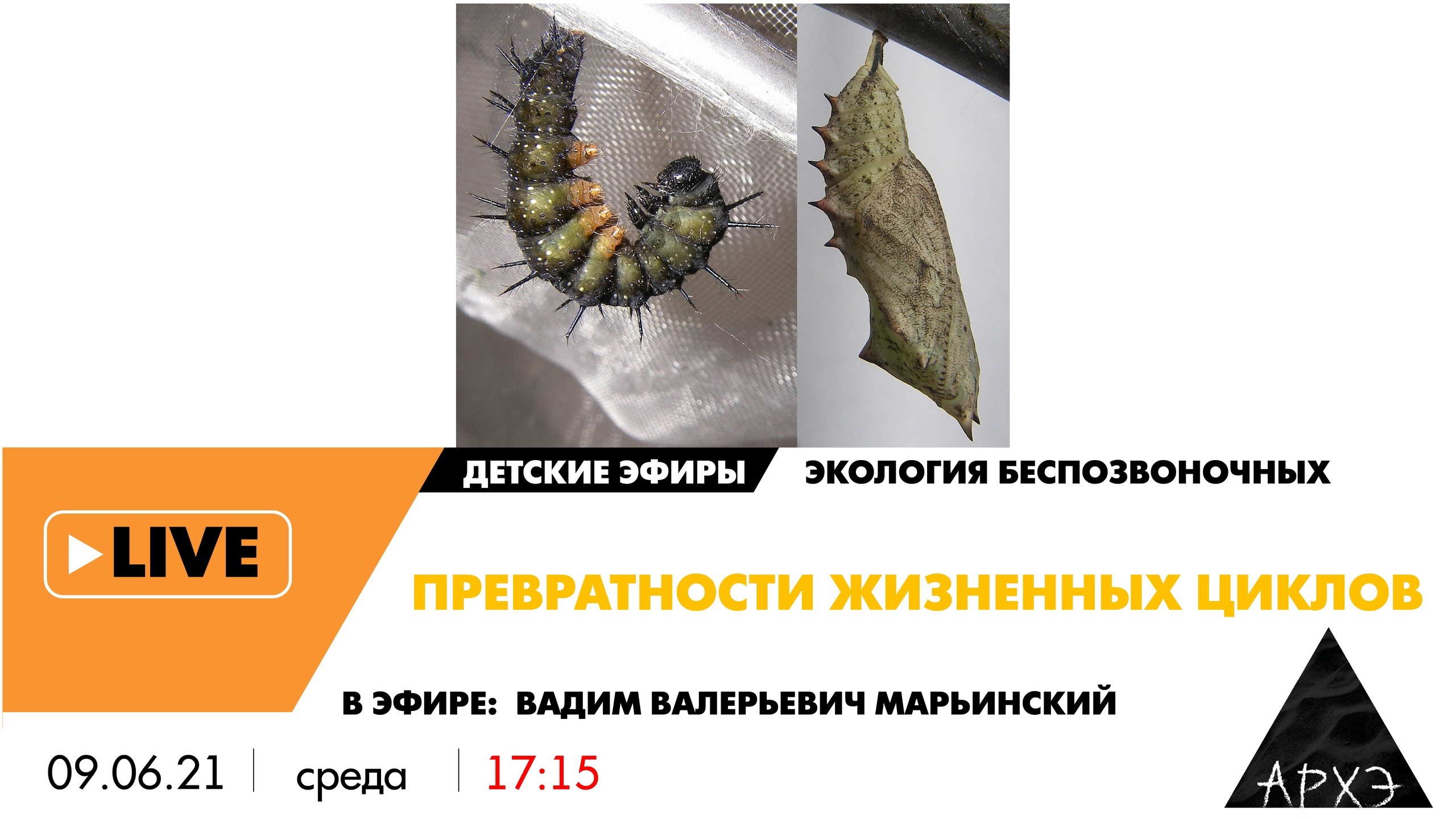 Лекторий культурно-просветительского центра «Архэ»