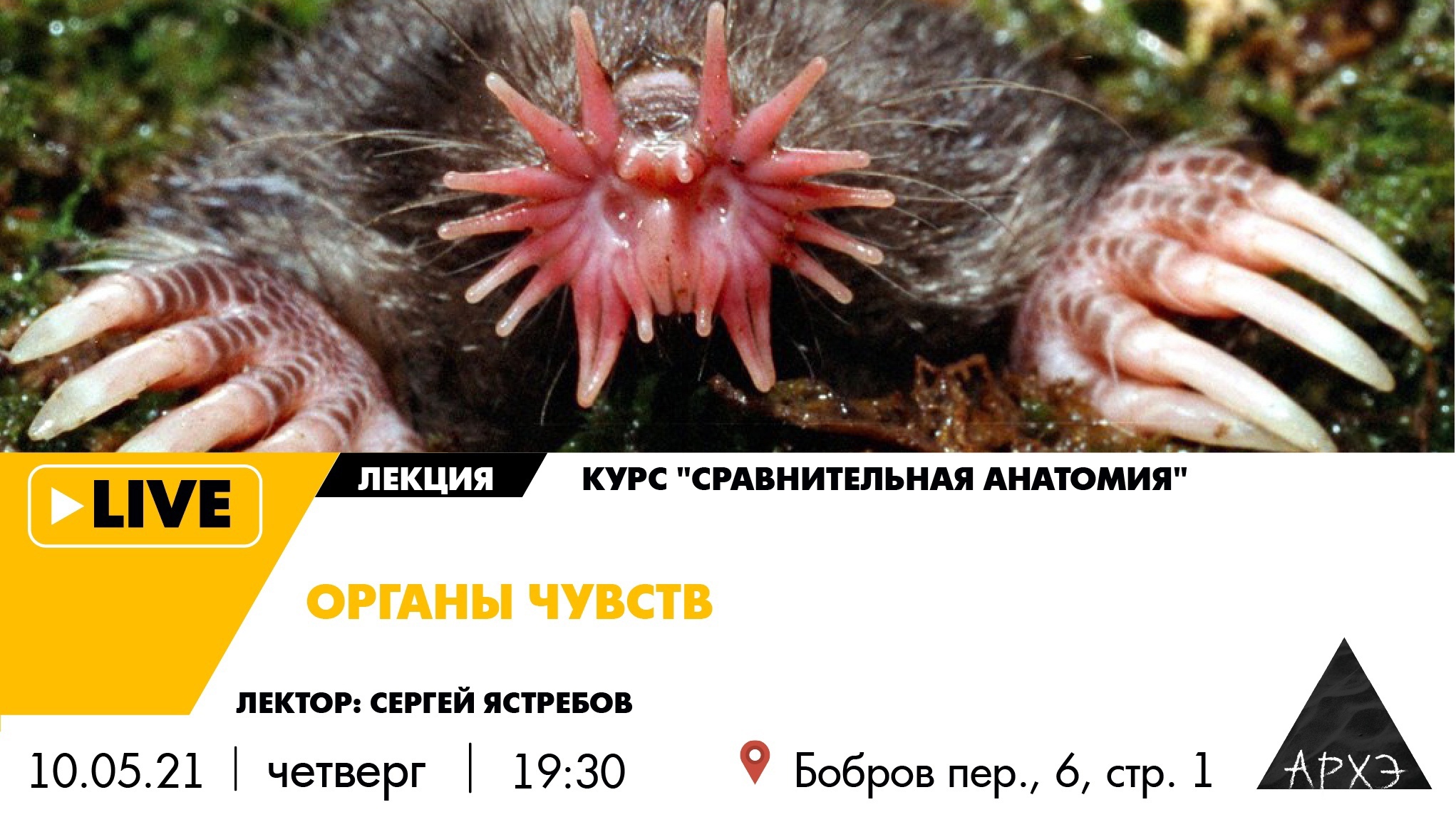 Лекторий культурно-просветительского центра «Архэ»