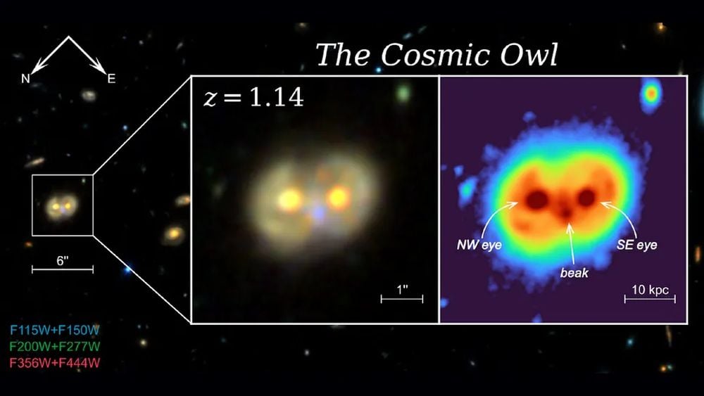 Cosmic Owl Infinity Galaxy JWST