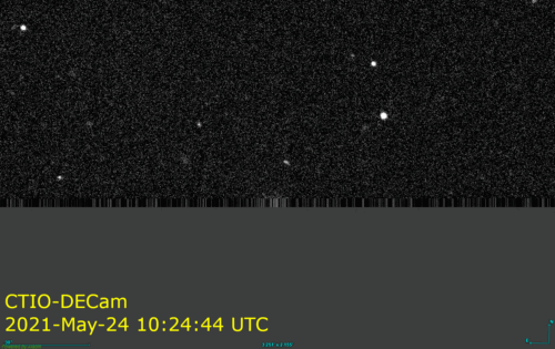 Torifane asteroid DECam