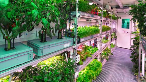 EDEN SIS Antarctic greenhouse