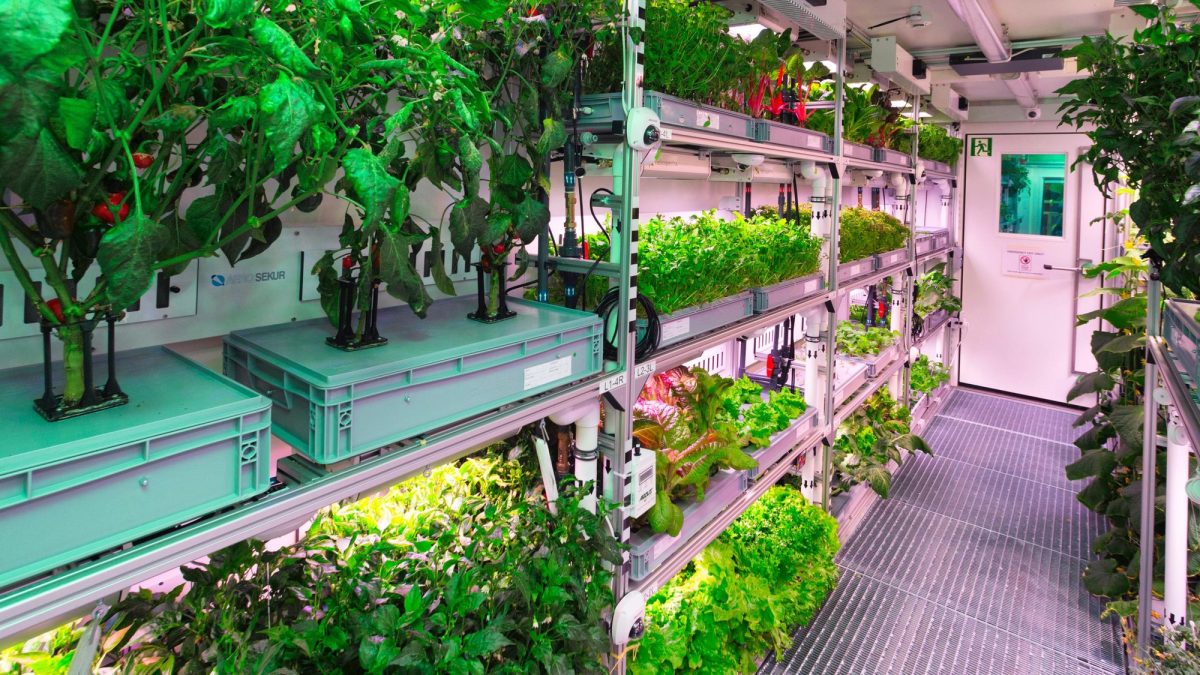 EDEN SIS Antarctic greenhouse