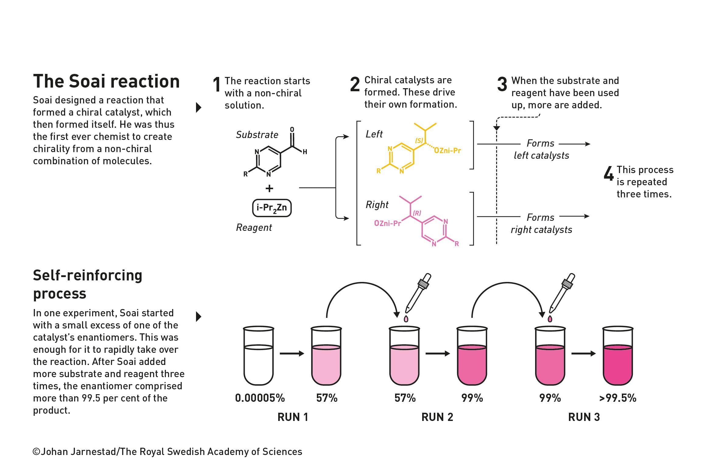 Soai reaction Nobel prize chemistry 2026